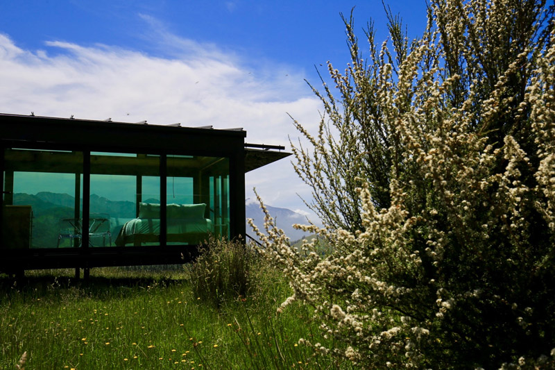 Manakau PurePod and flowering manuka