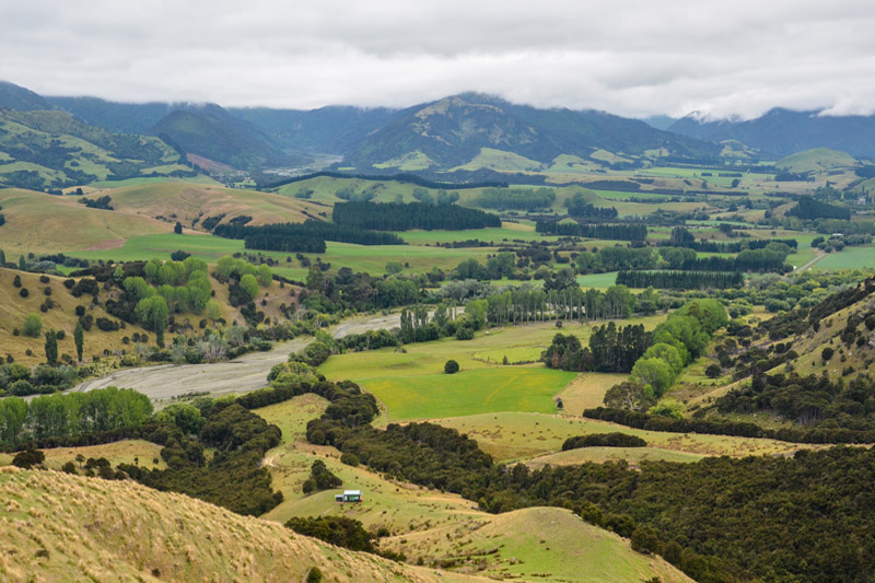 Manakau PurePod - immerse yourself in nature