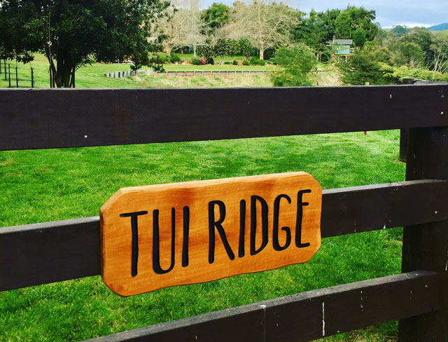 Tui Ridge 