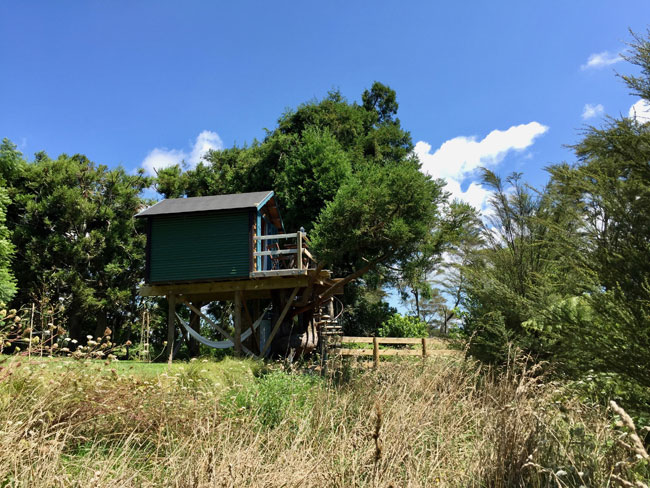 Treehouse at Tui Ridge Accommodation