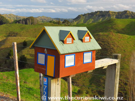 Back Country Accommodation - Forgotten World Highway