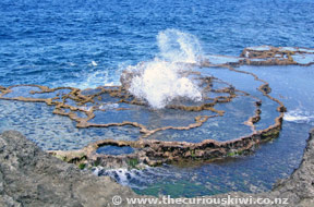 Mapu 'a Vaea Blow Holes