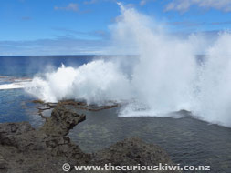 Mapu 'a Vaea blow holes