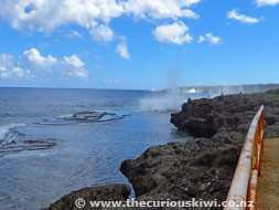 Mapu 'a Vaea Blow Holes