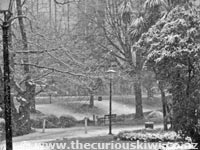 Snowing in Christchurch