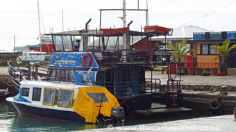 Deep Blue cruise boat in Nuku'alofa harbour