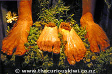 Hobbit Feet