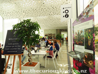 Ilex Cafe