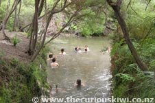 Kerosene Creek
