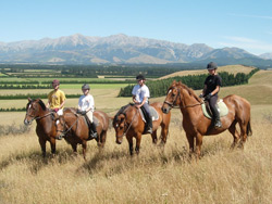 Kowhai Riding School