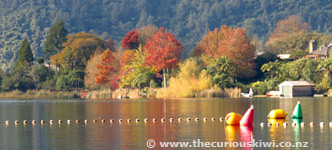 Lake Okareka
