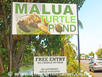 Malua Turtle Pond