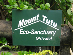 Mount Tutu Eco-Sanctuary