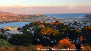 Mt Victoria Lookout