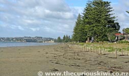 Orewa beach - 3km stretch of sand