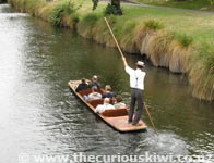 Punting On The Avon