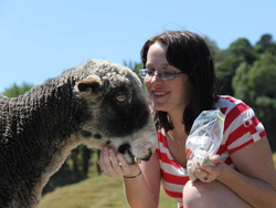 Rangitikei Farmstay