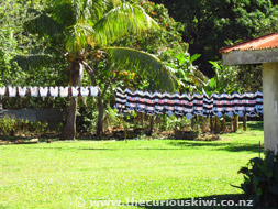 Rugby Jerseys, Tonga