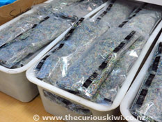 Shredded money