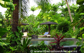 Sinalei Reef Resort & Spa - pool