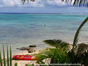 Snorkelling off the beach at Charlie's Bar