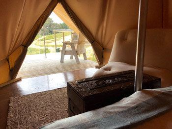 Angus Belle Tent Interior - Soft Leaf Farmstay Glamping
