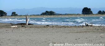 Take a walk down Sumner beach
