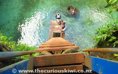 Ladder down into To Sua Ocean Trench