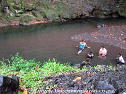 Cooling off in the fresh water pool