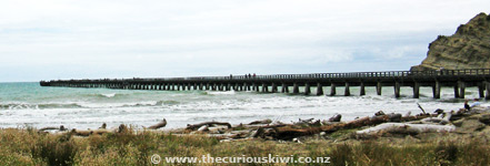 Tolaga Bay pier