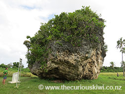 Tsunami Rock