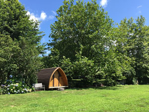 Ark Cabin at Tui Ridge Accommodation