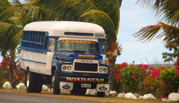 Big, bright Samoan bus