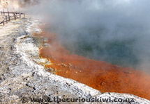 Champagne Pool at Wai-O-Tapu Thermal Wonderland