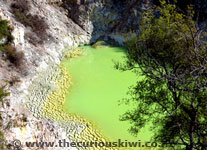 Devil's Bath at Wai-O-Tapu Thermal Wonderland