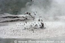 Wai-O-Tapu Mud Pools