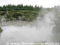 Wai-O-Tapu Mud Pools